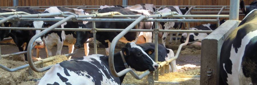 En-savoir-plus-personnes-impliquees